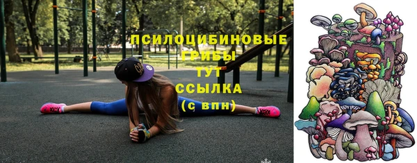 синтетический гашиш Алексин