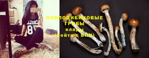 герыч Алзамай